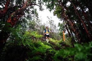 BIB: 
                            <button type="button" onclick="openModal(26204133)" class="btn btn-primary btn-sm float-right btn-popup" data-toggle="modal" data-target=".modal-high-quality">
                        <i class="fas fa-shopping-cart"></i> Add to Cart
                    </button>
                                            <button type="button" onclick="isThisMe(26204133, true)" class="btn btn-success btn-sm float-right btn-popup btn-isme hidden" data-toggle="tooltip" data-placement="bottom" title="นี่คือรูปของคุณใช่ไหม คลิกที่นี่เพื่อเอาเข้าอัลบั้ม">
                        <i class="fas fa-plus"></i> Add to album
                    </button>
                    <button type="button" onclick="isThisMe(26204133, false)" class="btn btn-warning btn-sm float-right btn-popup btn-isnotme hidden">
                        <i class="fas fa-ban"></i> Remove from album
                    </button>